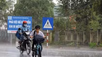 Long An xuất hiện cơn “mưa vàng”