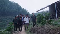 47 con bạc chọn đỉnh núi làm nơi sát phạt 