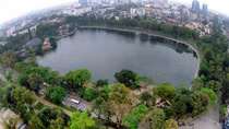Lên tiếng cho cây, cũng là để bảo vệ ký ức của con người