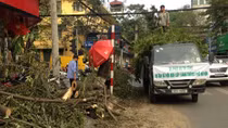 Trân trọng ý kiến người dân vì một Hà Nội xanh