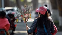 Hà Nội tĩnh lặng trong nắng chiều cuối năm