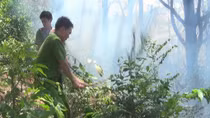 Hàng trăm người đang vật lộn với “giặc lửa” để cứu rừng 