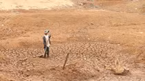Hàng ngàn nông dân lo trắng tay, vỡ nợ vì hạn hán