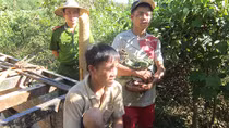 Ai đã tiếp tay cho “lâm tặc” phá rừng phòng hộ ở Nghệ An?