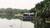Buông lỏng quản lý đang tàn sát “lá phổi xanh” Thủ đô