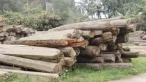 Đình chỉ 4 kiểm lâm thiếu trách nhiệm ở Đắk Nông
