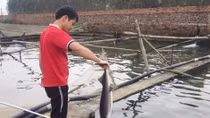  “Ngư ông” trên những dãy núi mờ sương