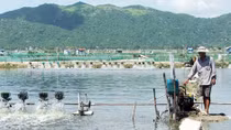 Những ưu ái với “đày tớ” khiến Nhà nước thất thoát hơn 9,2 tỷ đồng
