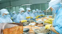 Hãi hùng phát hiện vật lạ trong suất cơm của công nhân