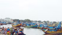 Lỗ hổng trong quản lý thuyền viên là nguy cơ lớn gây tai nạn đường thủy