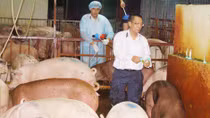 Bài 2: Nhận diện “thuốc độc” trên mâm cơm