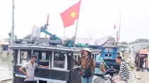 Hệ lụy từ tình trạng cá chết ở vùng biển miền Trung