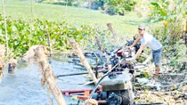 Mực nước vùng đầu nguồn An Giang, Đồng Tháp tăng nhẹ
