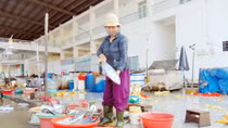 Đà Nẵng bị “vạ lây” vì tình trạng cá chết dạt vào bờ biển