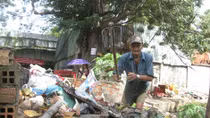 Hồn nhiên thành thị