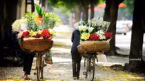 Những ân phước tinh khiết của đời sống