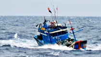 Tàu cá cùng 7 ngư dân gặp nạn