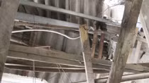 Điêu đứng gia đình, nữ sinh gửi tâm thư tới lãnh đạo Hà Nội