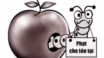 Phạt cho tồn tại