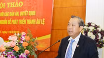 Áp dụng án lệ trong các phán quyết của Tòa án để khắc phục khiếm khuyết của pháp luật