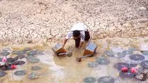 Đồng bằng sông Cửu Long đối mặt hiểm hoạ kép 