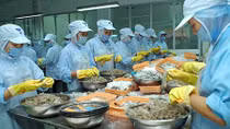 Tham tán thương mại phải là cánh tay nối dài của Chính phủ và doanh nghiệp