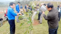 Nhiều hoạt động hướng đến lễ Kỷ niệm 110 năm Ngày sinh Tổng Bí thư Hà Huy Tập