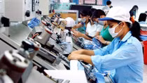 Các loại thuế, phí doanh nghiệp phải nộp