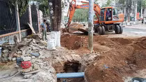Thi công đường ống cấp nước làm cây xanh đổ xuống nhà dân