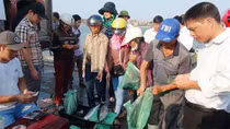 Quảng Bình triển khai 2 điểm bán hải sản đánh bắt xa bờ an toàn