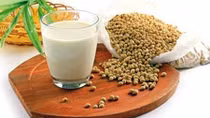 Người nông dân khốn đốn về thông tin tác hại của đậu nành