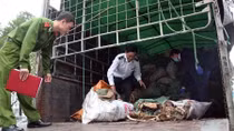 Hơn 6 tấn xương động vật hôi thối chuẩn bị vào Hà Nội