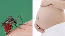 Phụ nữ mang thai trong trường hợp nào cần đi xét nghiệm virut Zika?