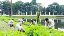 Nơi hồi sinh những phận đời lầm lỗi 