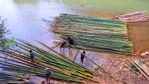 Những chuyến đi mùa xuân