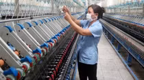 Sức ép của TPP đối với vấn đề cải cách doanh nghiệp Nhà nước
