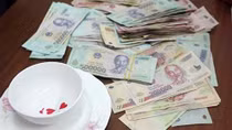 Phá sới bạc trên đồi cây