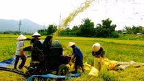 Giám sát thực hiện Chương trình mục tiêu quốc gia xây dựng nông thôn mới