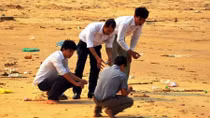 Yếu tố gây độc trong nguồn nước khiến cá biển chết hàng loạt