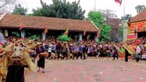 Ngày xuân, trở về với Lễ hội "Trâu rơm bò rạ"