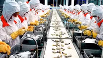 Thái Lan đầu tư mạnh vào ngành công nghiệp chế biến, chế tạo tại Việt Nam