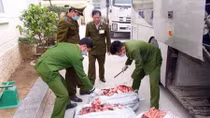 Đi qua dạ dày là... con đường ngắn nhất