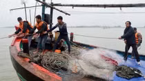 9 ngư dân gặp nạn trên biển