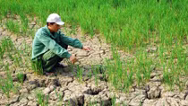 Điều chỉnh Dự án phát triển môi trường, hạ tầng đô thị ứng phó với biến đổi khí hậu