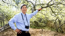 Anh hùng lao động, GS.TS Nguyễn Anh Trí: Viết lên những xuân hồng