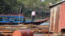 Xác định nguyên nhân cá bè chết tại sông Cái - Đồng Nai