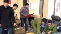 Phát hiện xe tải chở 4.700 sản phẩm mỹ phẩm nhập lậu