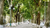 Hà Nội dấu hương