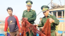 Hỗ trợ tối ưu ngư dân ra khơi