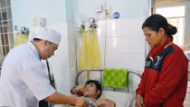 3 người bị ngộ độc do ăn nấm dại